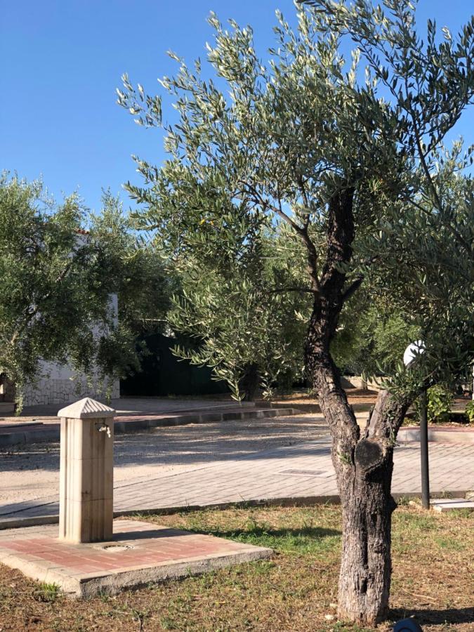 Tenuta Montincello Vieste Extérieur photo