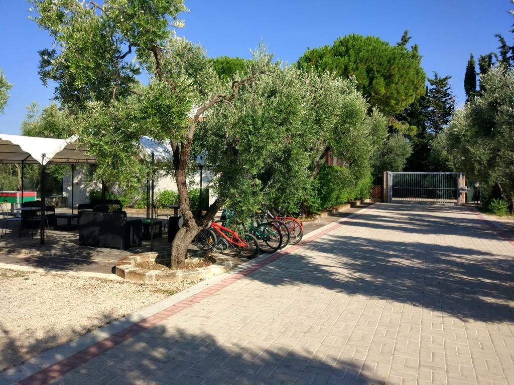 Tenuta Montincello Vieste Extérieur photo